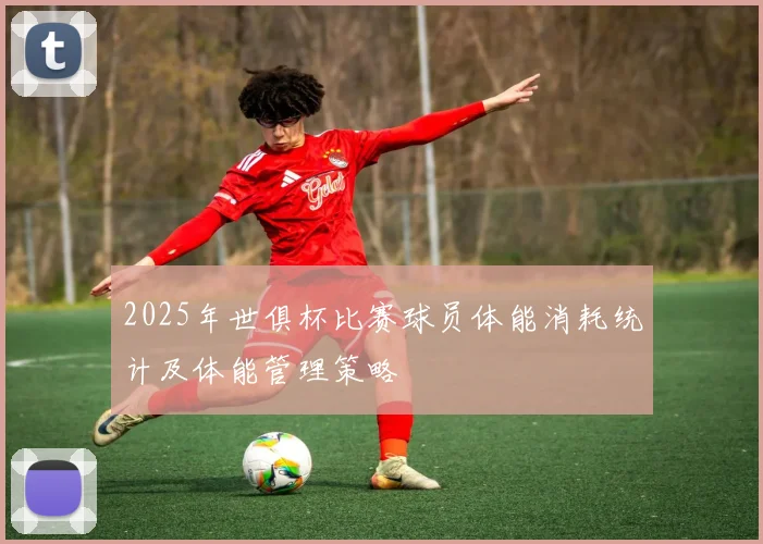 2025年世俱杯比赛球员体能消耗统计及体能管理策略