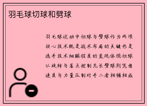 羽毛球切球和劈球